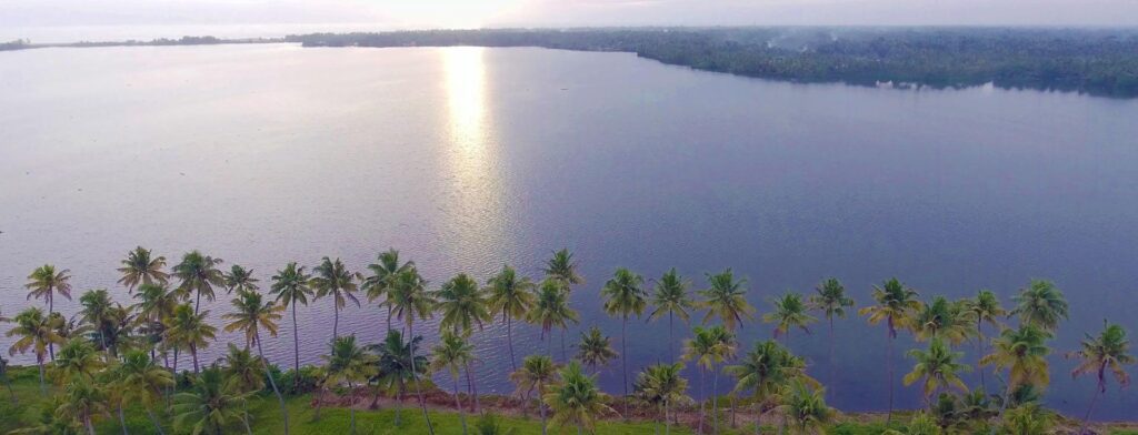 Bird watching at Ashtamudi lake,