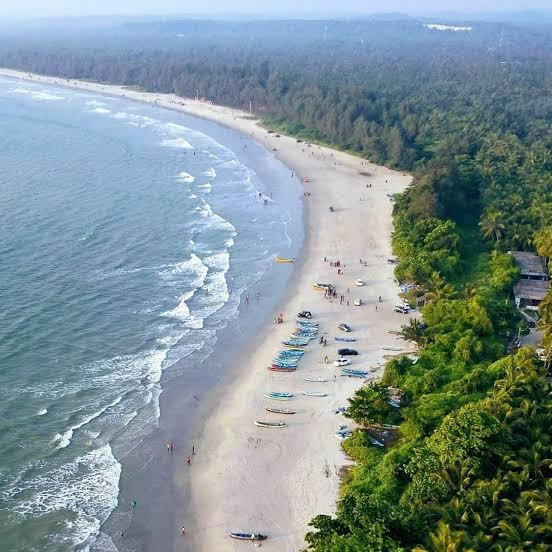 Scenic Kannur Kerala coastline with tropical beach, coconut palms and Arabian Sea views.
