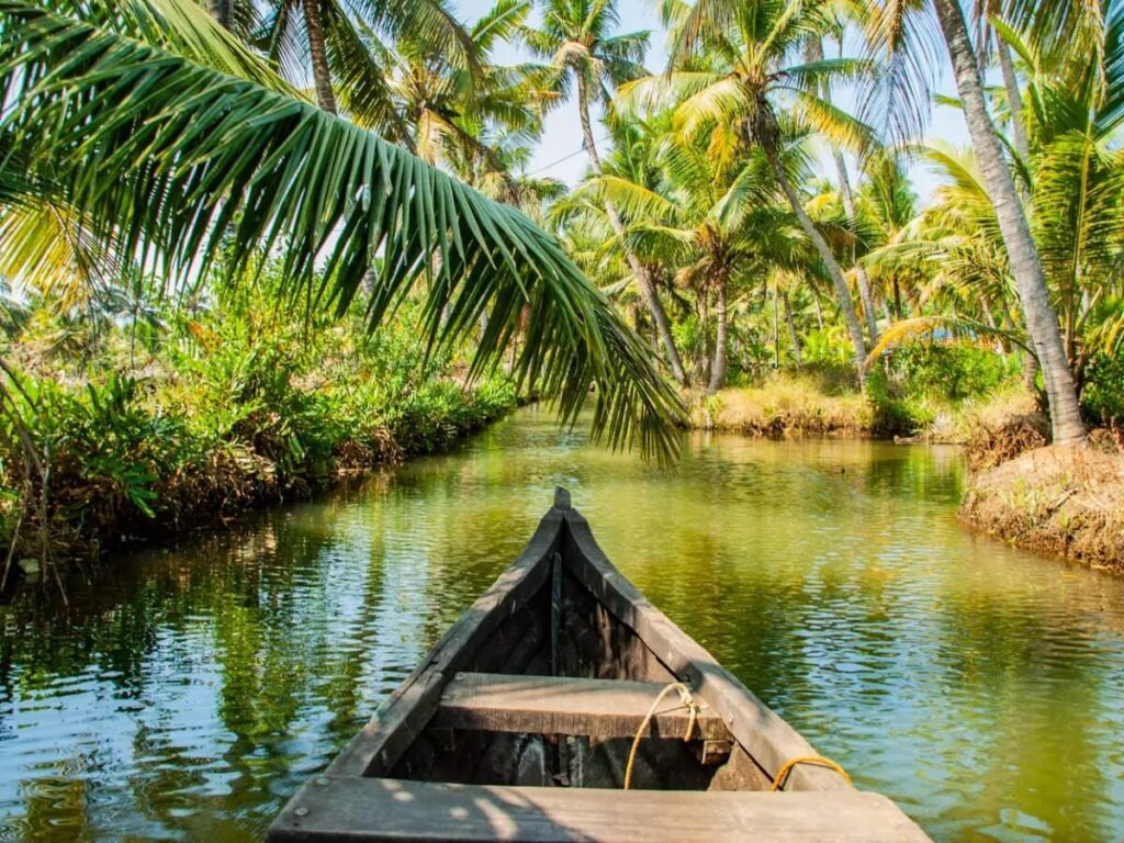 Scenic Kollam Kerala featuring Ashtamudi backwaters, traditional boats, coconut palms and lush tropical landscape