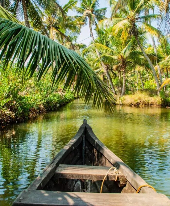 Scenic Kollam Kerala featuring Ashtamudi backwaters, traditional boats, coconut palms and lush tropical landscape