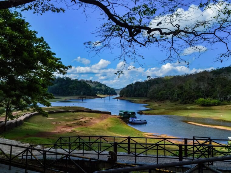 Scenic Thekkady Kerala featuring Periyar Lake surrounded by lush Western Ghats forests and wildlife.