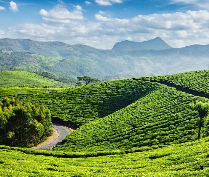 Scenic Wayanad Kerala with misty green mountains, forests, tea and spice plantations in the Western Ghats.