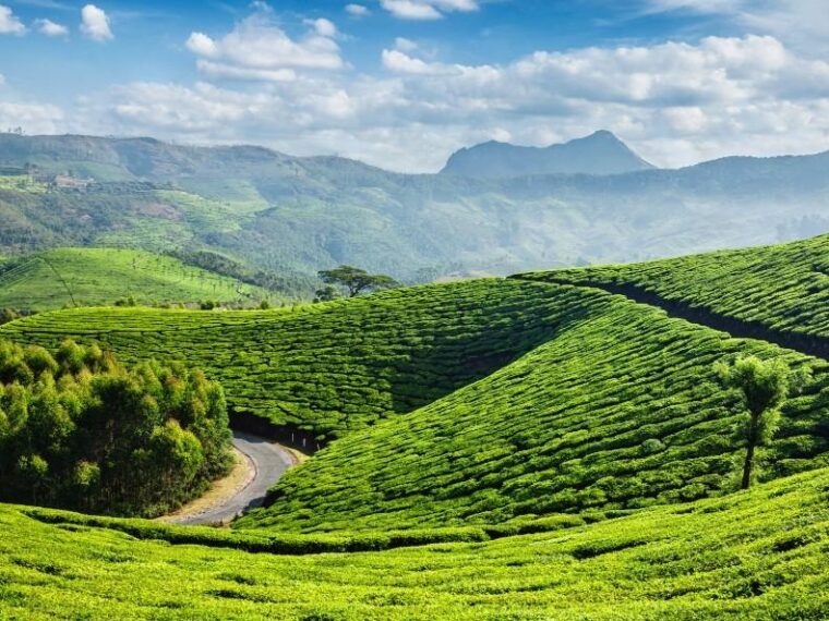 Scenic Wayanad Kerala with misty green mountains, forests, tea and spice plantations in the Western Ghats.