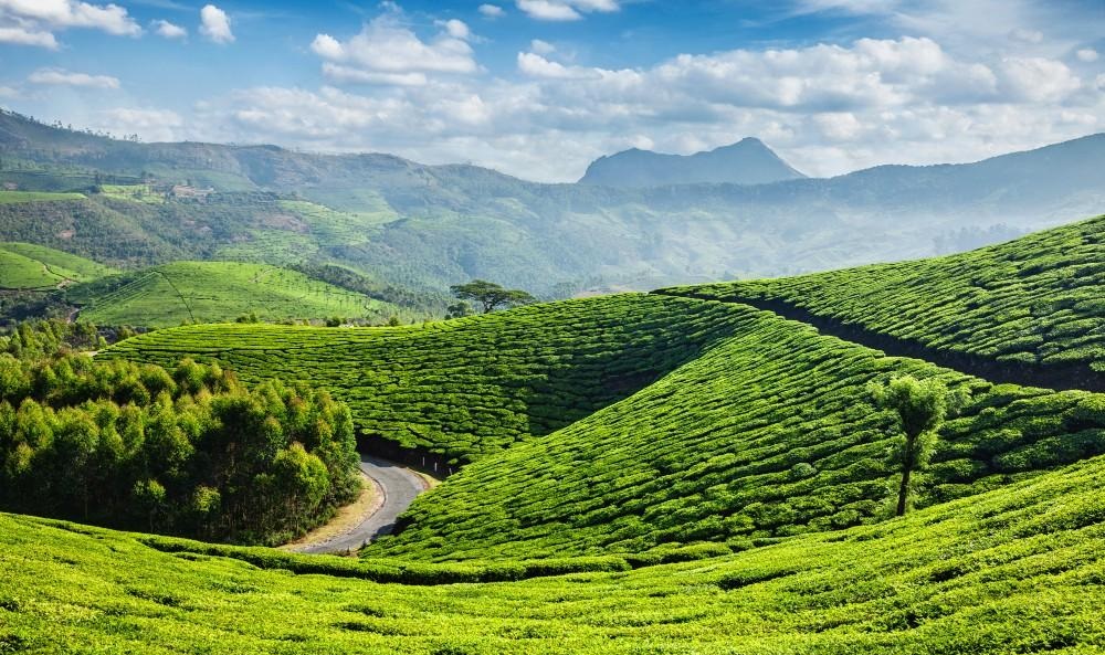 Scenic Wayanad Kerala with misty green mountains, forests, tea and spice plantations in the Western Ghats.